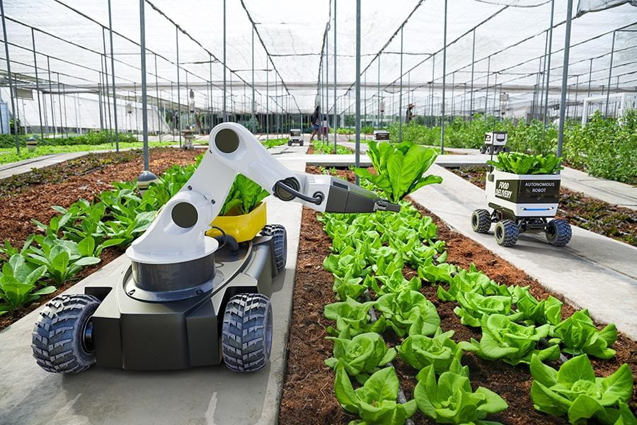 Understanding Aavmaal Revolutionizing Agriculture in the Modern Era