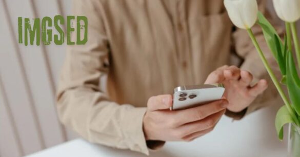 imgSED Revolutionizing Image Management for the Digital Age