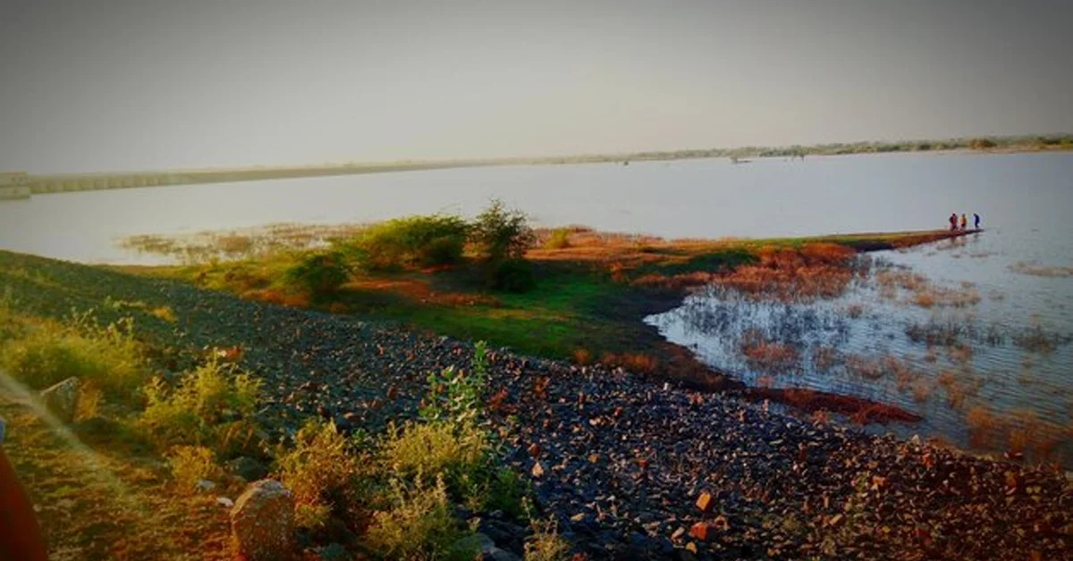 Discover the Hidden Gem of the Nolon Gillis Delta