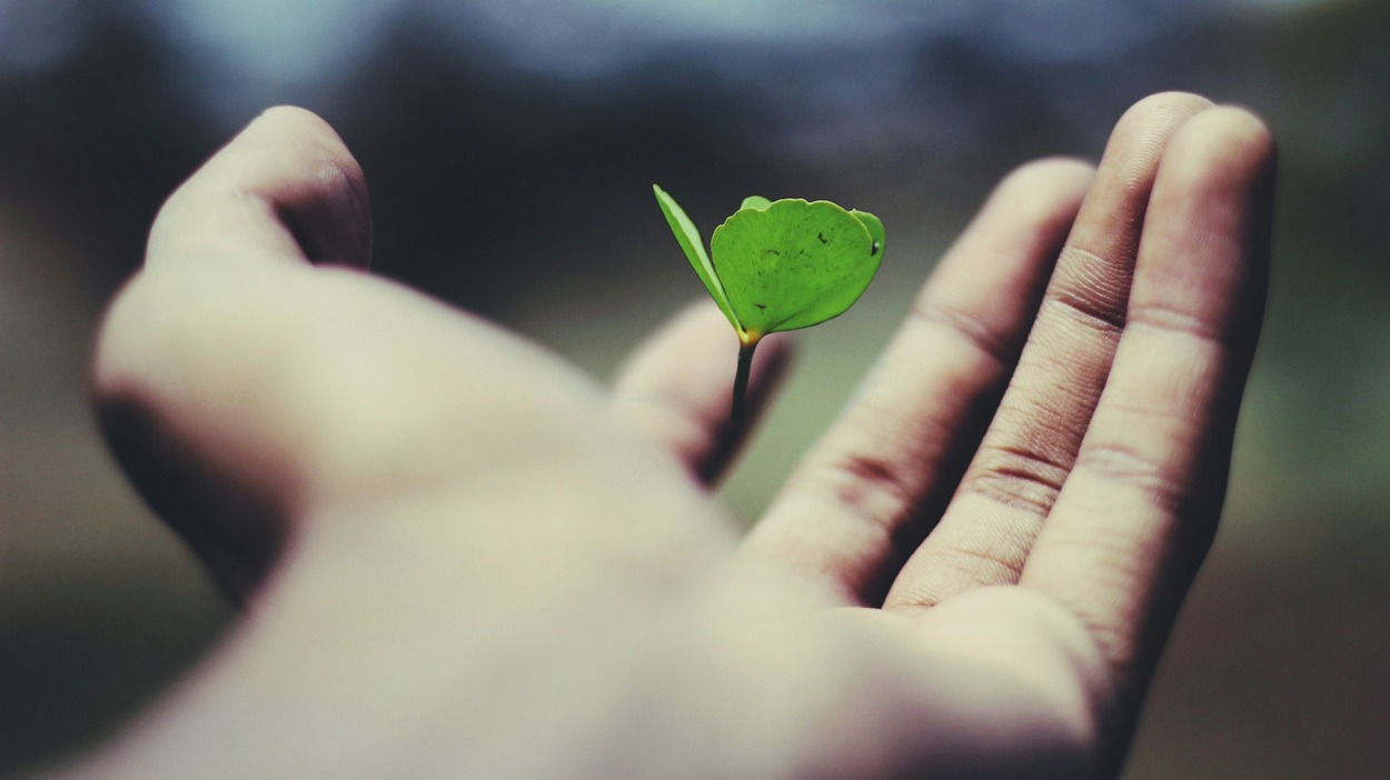 Growth Ideas from Qyndorath Harnessing a Philosophy of Continuous Development
