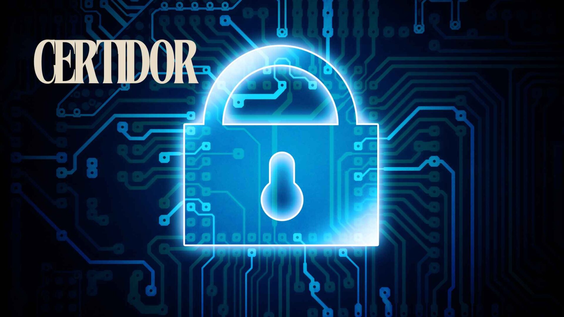 Unraveling CERTIDOR The Future of Transparent Financial Transactions